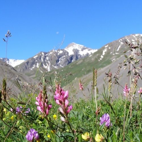 Vallée de la Maurienne